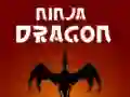 Žaidimas Ninja Drakonas internete Žaidimas Ninja Drakonas internete