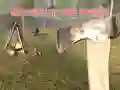 Žaidimas Išgyvenk Miške internete Žaidimas Išgyvenk Miške internete