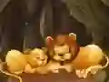 Žaidimas Linksmi zoologijos sodo galvosūkiai internete Žaidimas Linksmi zoologijos sodo galvosūkiai internete