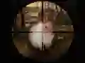 Žaidimas Klasikinė Kiškio Sniper Medžioklė 2019 internete Žaidimas Klasikinė Kiškio Sniper Medžioklė 2019 internete