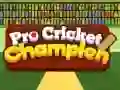 Žaidimas Pro Kriketo Čempionas internete