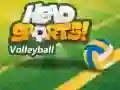 Žaidimas Head Sports Tinklinis internete