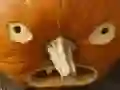 Žaidimas 5 iš 1 Paveikslėlių galvosūkis: Helloween internete Žaidimas 5 iš 1 Paveikslėlių galvosūkis: Helloween internete