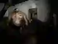 Žaidimas Tylus Prieglauda internete Žaidimas Tylus Prieglauda internete