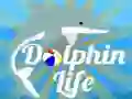 Žaidimas Delfinų Gyvenimas internete Žaidimas Delfinų Gyvenimas internete