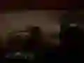Žaidimas Baisus Džiunglių Safari internete