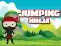 Žaidimas Šokinėjantis Ninja internete