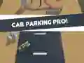 Žaidimas Automobilių parkavimas Pro internete Žaidimas Automobilių parkavimas Pro internete