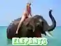 Žaidimas Dramblių Dėlionė internete Žaidimas Dramblių Dėlionė internete