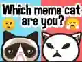 Žaidimas Koks tu meme katinas? internete Žaidimas Koks tu meme katinas? internete