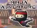 Žaidimas Ninja Nuotykis internete Žaidimas Ninja Nuotykis internete