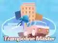 Žaidimas Trampolino meistras internete Žaidimas Trampolino meistras internete