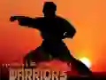 Žaidimas Karate Saulėlydžio Kariai internete Žaidimas Karate Saulėlydžio Kariai internete