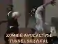 Žaidimas Išgyvenimas zombių apokalipsės tunelyje internete Žaidimas Išgyvenimas zombių apokalipsės tunelyje internete
