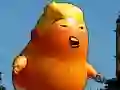 Žaidimas Trumpo Skraidymo Nuotykis internete