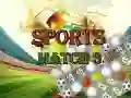 Žaidimas Sporto Rungtynės 3 Deluxe internete Žaidimas Sporto Rungtynės 3 Deluxe internete