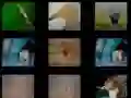 Žaidimas Gyvūnų Atmintis internete