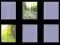 Žaidimas Gamtos Atmintis internete Žaidimas Gamtos Atmintis internete