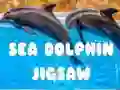 Žaidimas Jūros Delfinų Galvosūkis internete