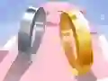 Žaidimas Meilės žiedas 3D internete Žaidimas Meilės žiedas 3D internete