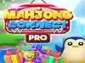 Žaidimas Mahjongcon internete Žaidimas Mahjongcon internete