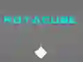Žaidimas Rotakubas internete