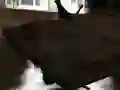 Žaidimas Drift Z internete Žaidimas Drift Z internete