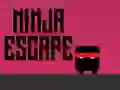 Žaidimas Ninjos pabėgimas internete Žaidimas Ninjos pabėgimas internete