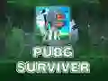 Žaidimas PUBG Išgyvenęs internete