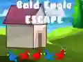 Žaidimas Bald Eagle Pabėgimas internete Žaidimas Bald Eagle Pabėgimas internete