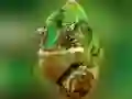 Žaidimas Chameleono galvosūkis internete Žaidimas Chameleono galvosūkis internete