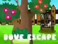 Žaidimas Paukščio pabėgimas internete Žaidimas Paukščio pabėgimas internete
