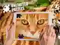 Žaidimas Neriboti galvosūkiai internete