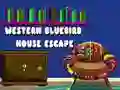 Žaidimas Pabėgimas iš vakarų mėlynojo paukščio namo internete