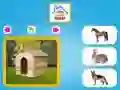 Žaidimas Kas čia gyvena? internete Žaidimas Kas čia gyvena? internete