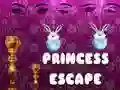 Žaidimas Princesės pabėgimas internete Žaidimas Princesės pabėgimas internete