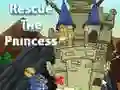 Žaidimas Išgelbėk princesę internete