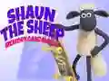 Žaidimas Shaun Ožka: Atminties Žaidimas internete Žaidimas Shaun Ožka: Atminties Žaidimas internete