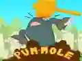 Žaidimas Pum-Mole internete Žaidimas Pum-Mole internete