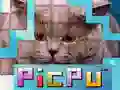 Žaidimas PicPu Katė internete Žaidimas PicPu Katė internete