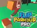 Žaidimas Flip Parkour Pro internete Žaidimas Flip Parkour Pro internete
