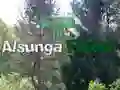 Žaidimas Grįžimas į Alsungos mišką internete Žaidimas Grįžimas į Alsungos mišką internete