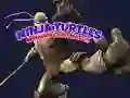 Žaidimas Ninja Vėžlių Atminties Žaidimas internete Žaidimas Ninja Vėžlių Atminties Žaidimas internete