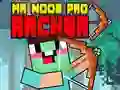 Žaidimas Ponas Noob Pro Šaulys internete