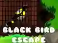 Žaidimas Juodojo Paukščio Išsigelbėjimas internete