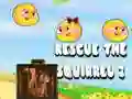 Žaidimas Išgelbėk voverę 2 internete Žaidimas Išgelbėk voverę 2 internete
