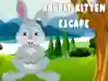 Žaidimas Kiškio ir Katinuko Pabėgimas internete