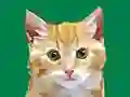 Žaidimas Nedidelis Dailininkas internete Žaidimas Nedidelis Dailininkas internete