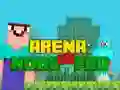 Žaidimas Arena: Noob vs Pro internete
