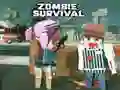 Žaidimas Zombių Išgyvenimas internete Žaidimas Zombių Išgyvenimas internete